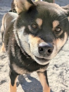 PXL_20260104_035828970.PORTRAIT.ORIGINAL~2