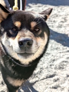 PXL_20260104_035829669.PORTRAIT