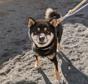 PXL_20260104_035845102