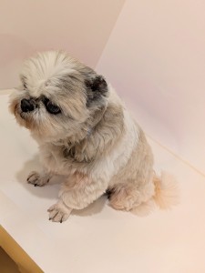 PXL_20260114_084012187.PORTRAIT~3