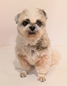 PXL_20260114_084101714.PORTRAIT~2