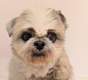 PXL_20260114_084101714.PORTRAIT~22