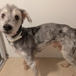 PXL_20260114_085343111.MP~2