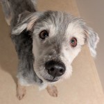 PXL_20260114_085843949