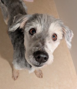 PXL_20260114_085843949