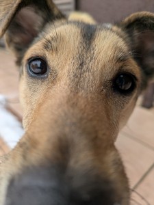 PXL_20260208_005305180 (1)