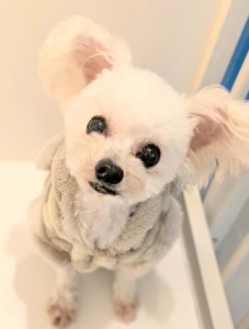 PXL_20260219_074309428.PORTRAIT~3