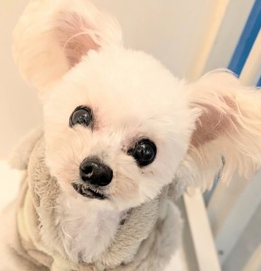 PXL_20260219_074309428.PORTRAIT~31