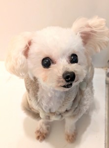 PXL_20260219_074356689.PORTRAIT~2