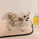 PXL_20260219_074913652~2