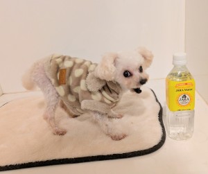 PXL_20260219_074913652~2