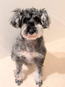 PXL_20260219_075725866.PORTRAIT~2