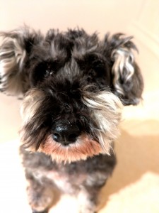 PXL_20260219_080005233