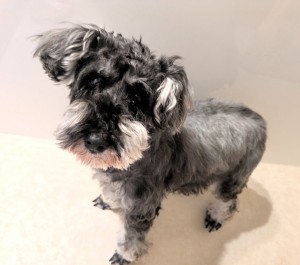 PXL_20260219_080419949~4