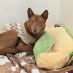 PXL_20260220_042554789