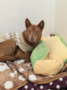 PXL_20260220_042554789