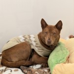 PXL_20260220_042601455