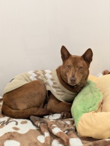 PXL_20260220_042601455