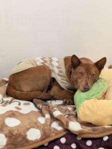 PXL_20260220_042720413