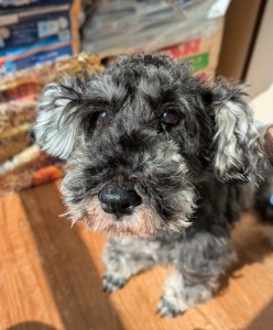 PXL_20260223_015744339~2