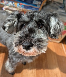 PXL_20260223_015857486~2