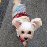 PXL_20260305_064856379.MP