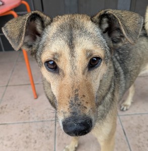 PXL_20260326_023712941