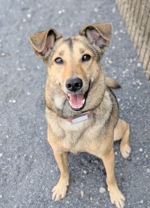 PXL_20260411_040111906.PORTRAIT (1)