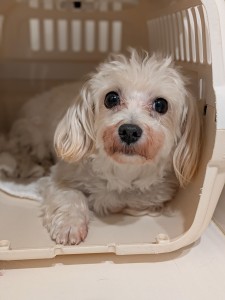 PXL_20260428_074128567.PORTRAIT