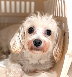 PXL_20260428_074128567.PORTRAIT11