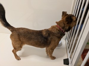 PXL_20260428_074505317.MP