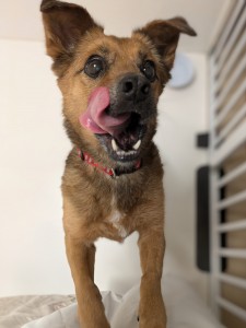 PXL_20260428_074613876~3