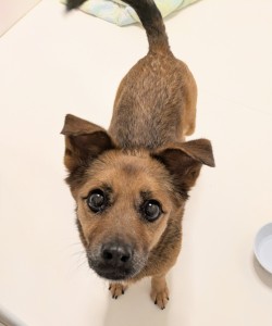 PXL_20260428_075710854~2