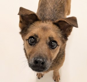 PXL_20260428_075710854~3