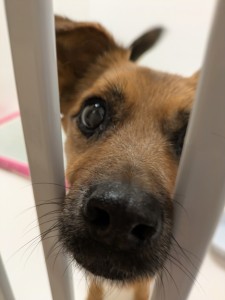 PXL_20260428_075726721