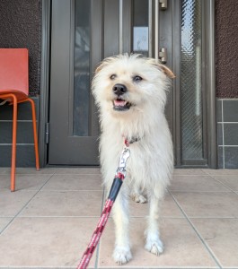 PXL_20260428_084128264