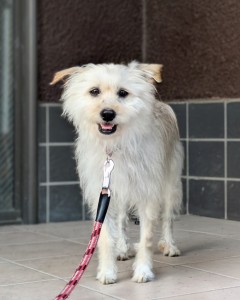 PXL_20260428_084508013~2