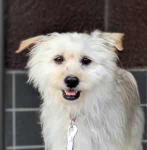 PXL_20260428_084508013~3