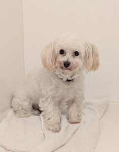 PXL_20260428_102657696