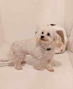 PXL_20260428_102735209~2