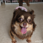 Screenshot_20251210-102413