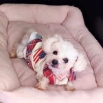 Screenshot_20260307-204942~3