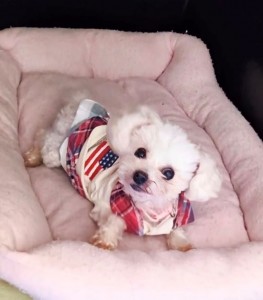 Screenshot_20260307-204942~3