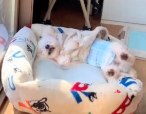 Screenshot_20260314-153620~2