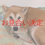 かぐや