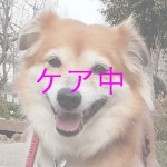 サナ