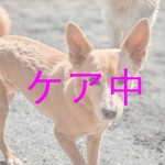 ラスク