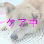 みなみ