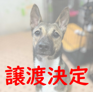 ファンJK