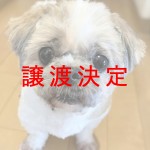 チェル